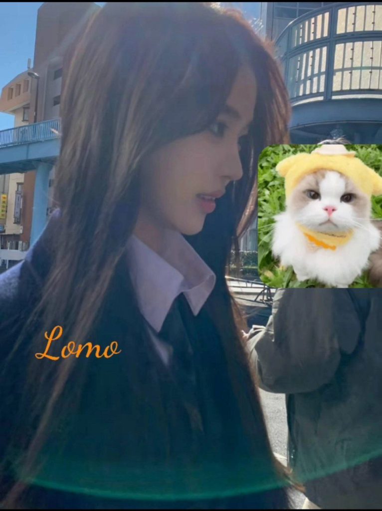 ♏ ️ Lomo ♍ ️   英國高端留學生，大學本科亦係英國畢業 ‍ 最美校花8099 作者:英国缪斯 帖子ID:5525 